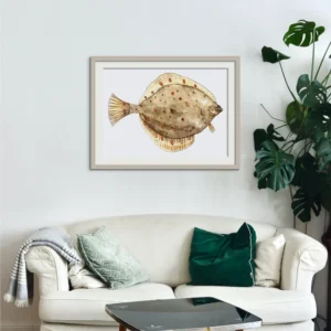 Fish (plaice) as watercolor painting
